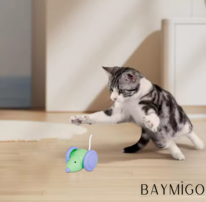 MysticMuis – Interactief Speelplezier voor Katten