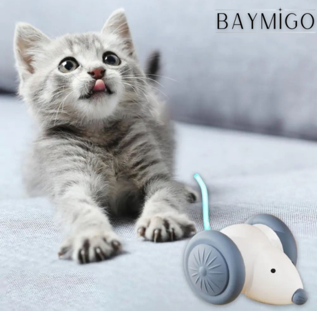 MysticMuis – Interactief Speelplezier voor Katten